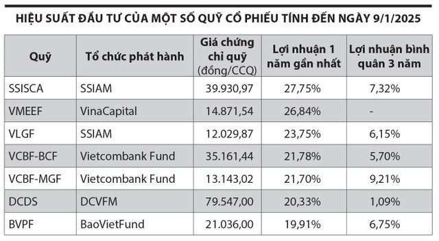 Hiệu suất đầu tư của một số quỹ cổ phiếu tính đến ngày 9/1/2025