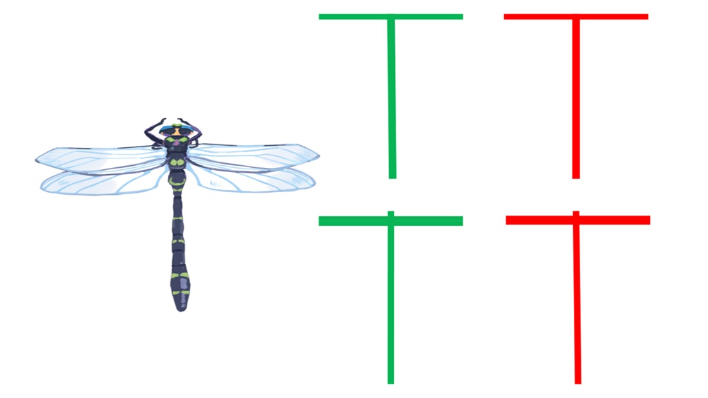 Dragonfly Doji có dạng chữ “T”, với giá mở cửa, giá đóng cửa và giá cao nhất gần như trùng nhau, trong khi bóng nến kéo dài xuống phía dưới