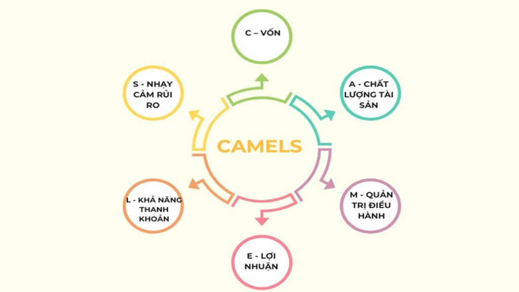 Mô hình CAMEL giúp đánh giá toàn diện mức độ an toàn và hiệu quả hoạt động của ngân hàng